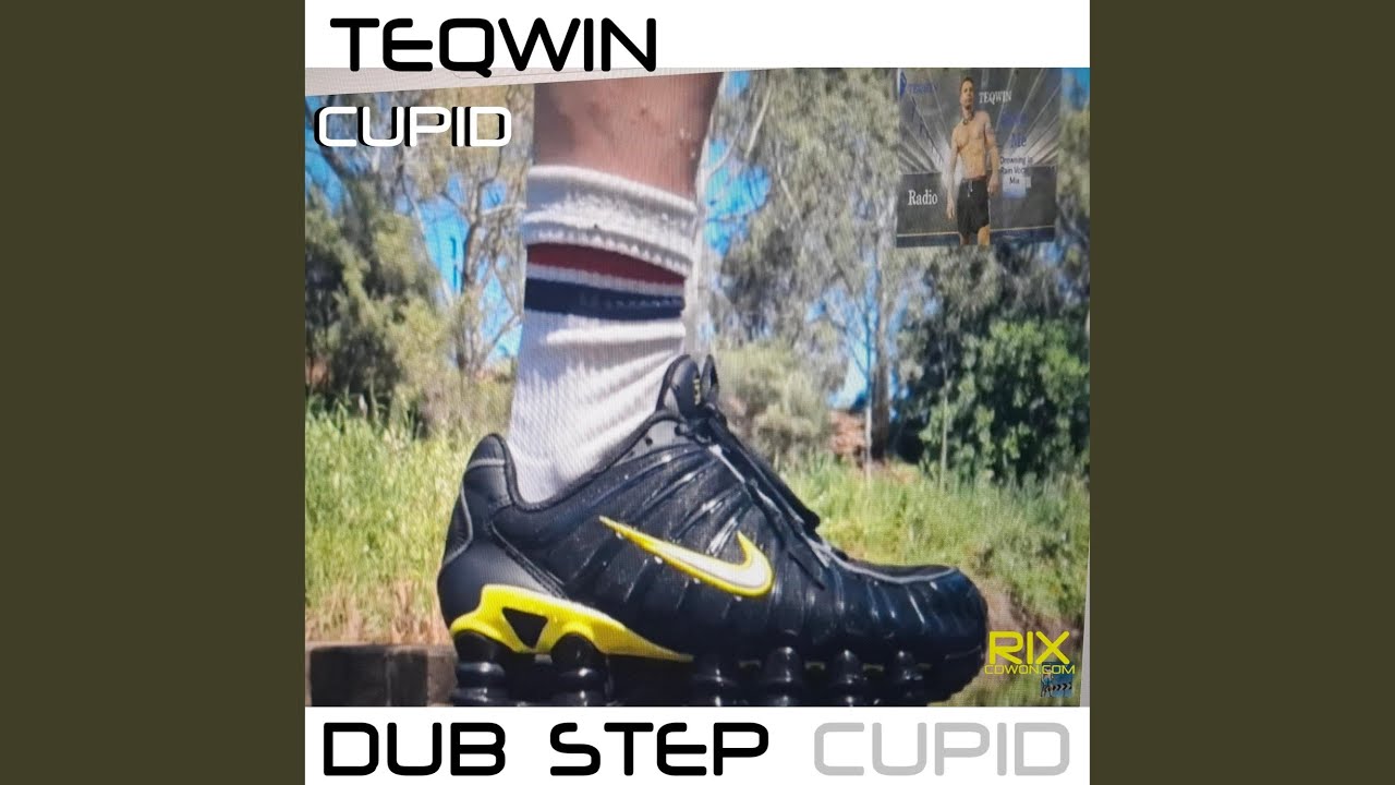 Cupid (DubStep Dub Step Radio Version)