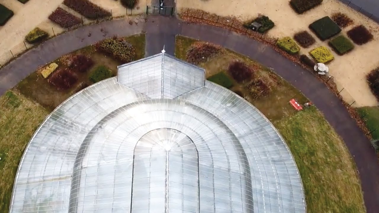 Friends of People's Palace Winter Gardens & Glasgow Green - Summer Summary