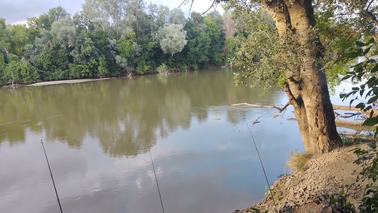 La pescuit pe Mureș!