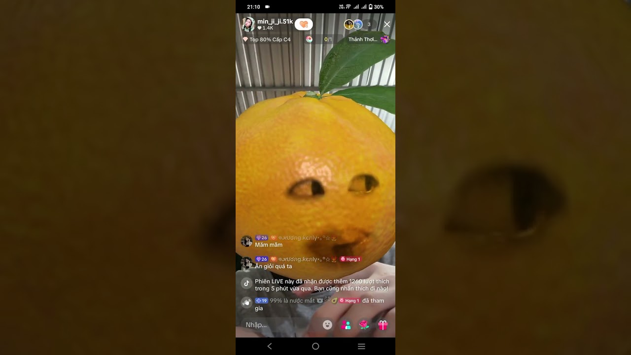 28chiêù