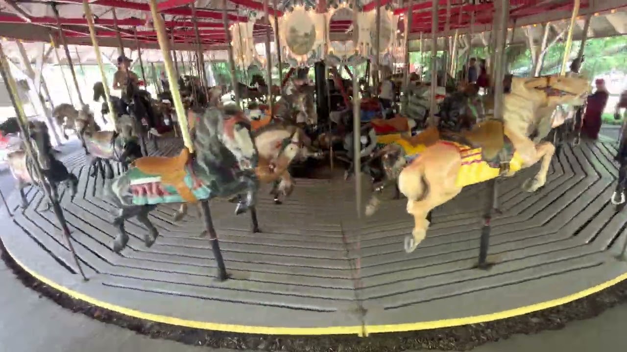 Ross Park Zoo carousel 6/26/22
