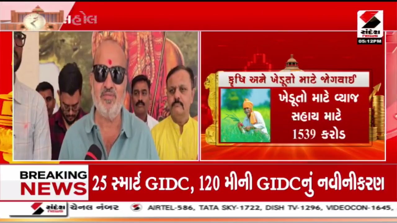 Gujarat Budget | બજેટને લઈ ખેડા નડિયાદમાં લોકોમાં ઉત્સાહ | Kheda | Nadiad |