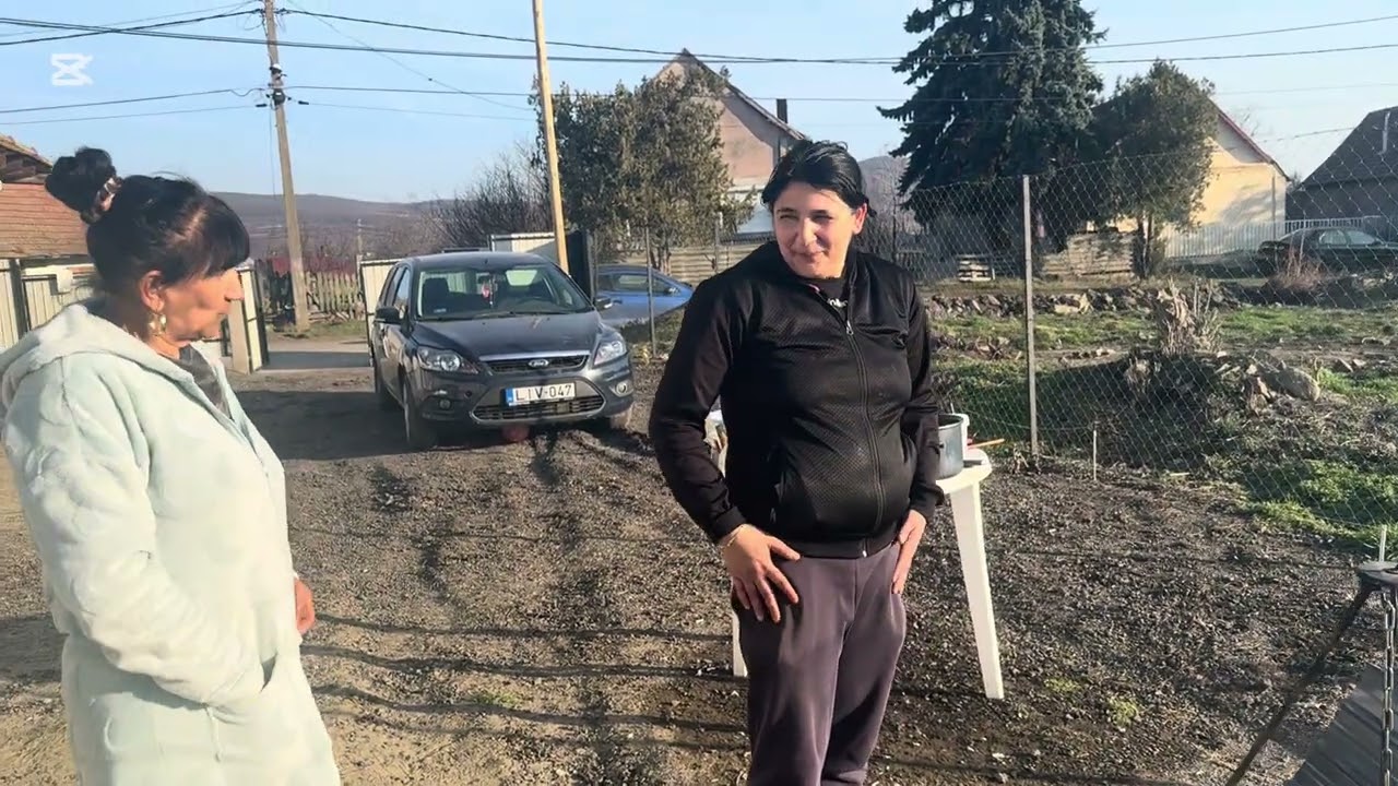 Napi vlog és főzés 