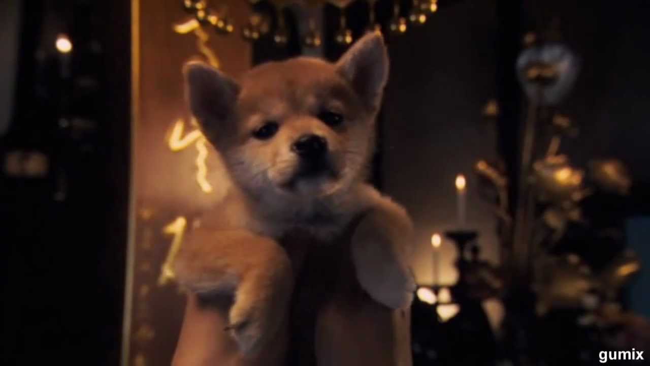 Hachiko