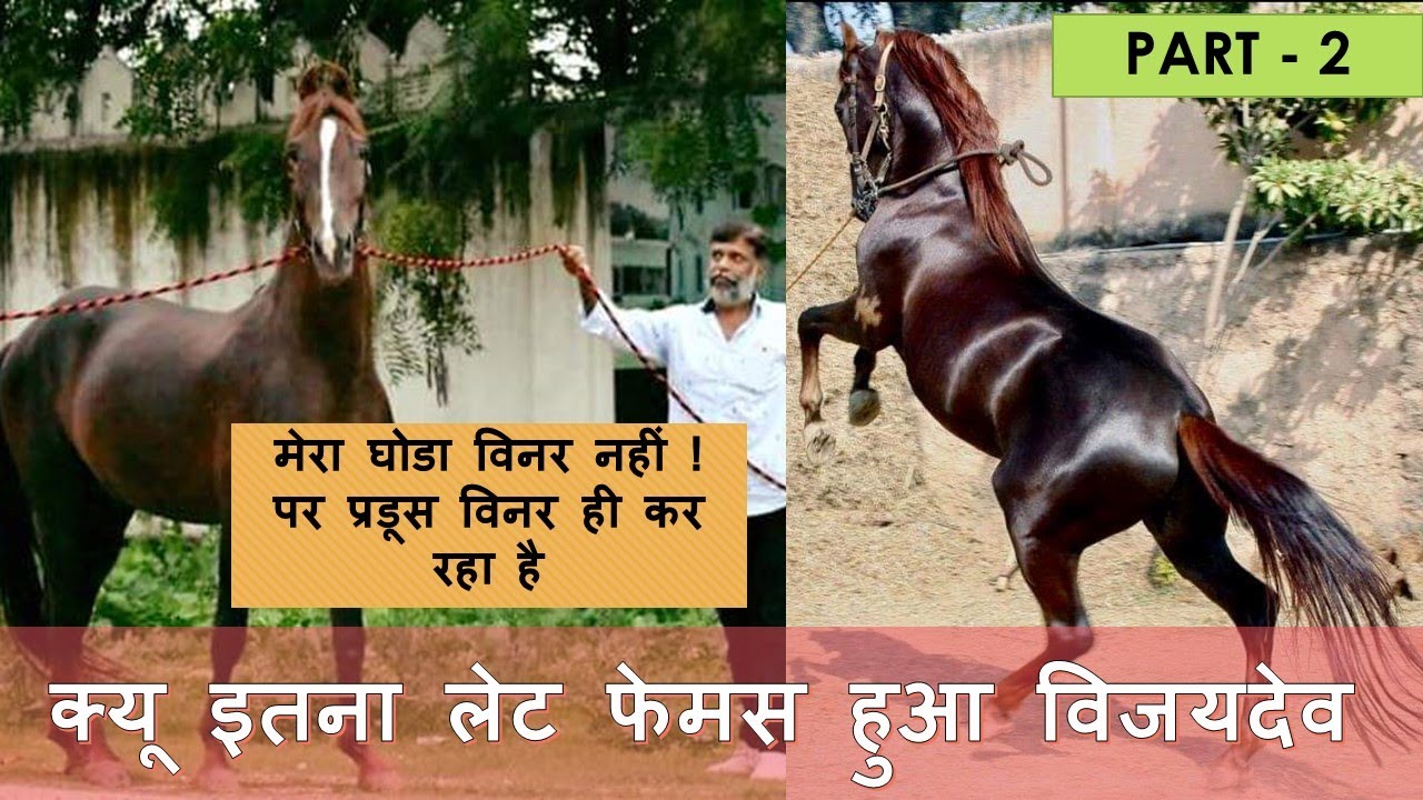 क्यू इतना लेट फेमस हुआ विजयदेव ? || RANJIROT STUD || PART - 2 ||