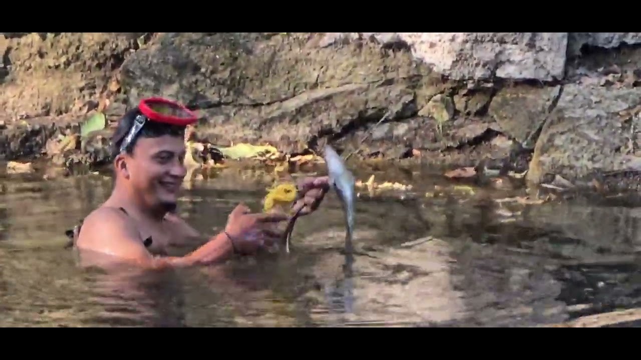Gran pesca de carpachines