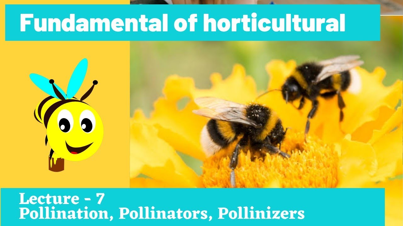 FUNDAMENTAL OF HORTICULTURE #Lec - 7 |Pollination, Pollinator,  Pollinizer |Go Agro
