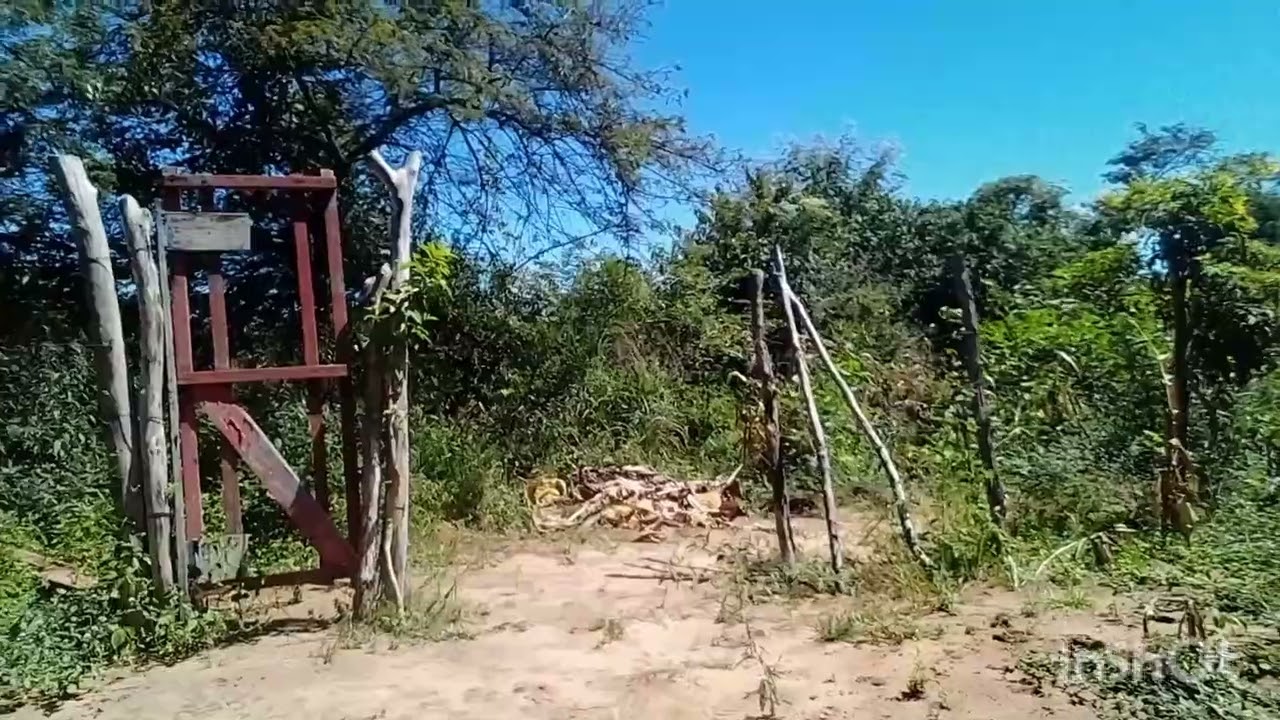 15 de junho de 2025