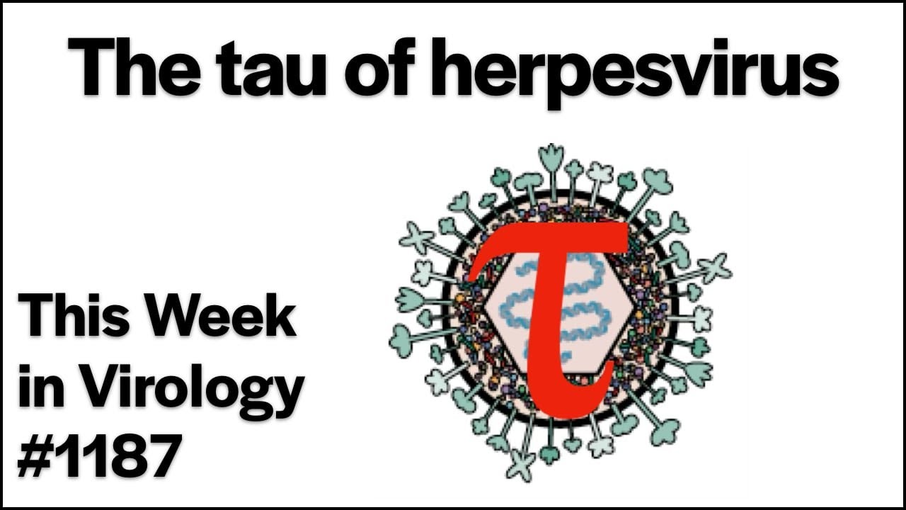 TWiV 1187: The tau of herpesvirus