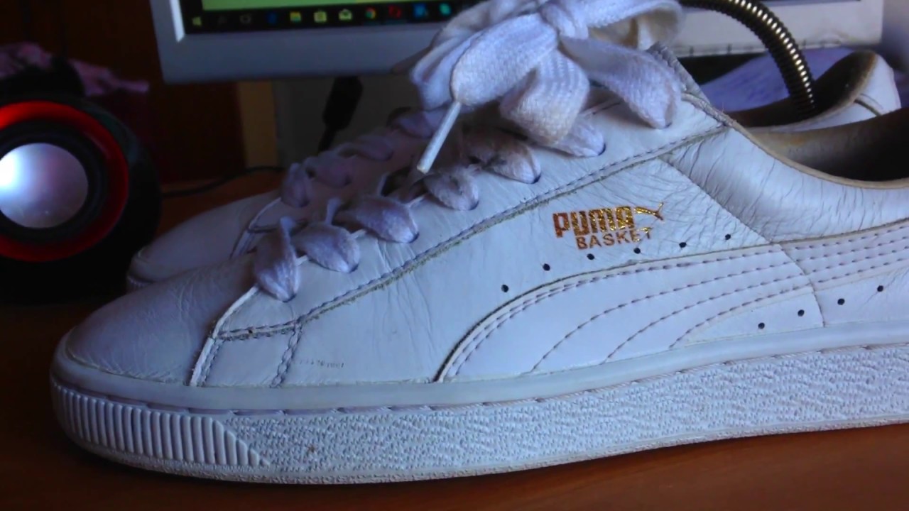 Puma basket
