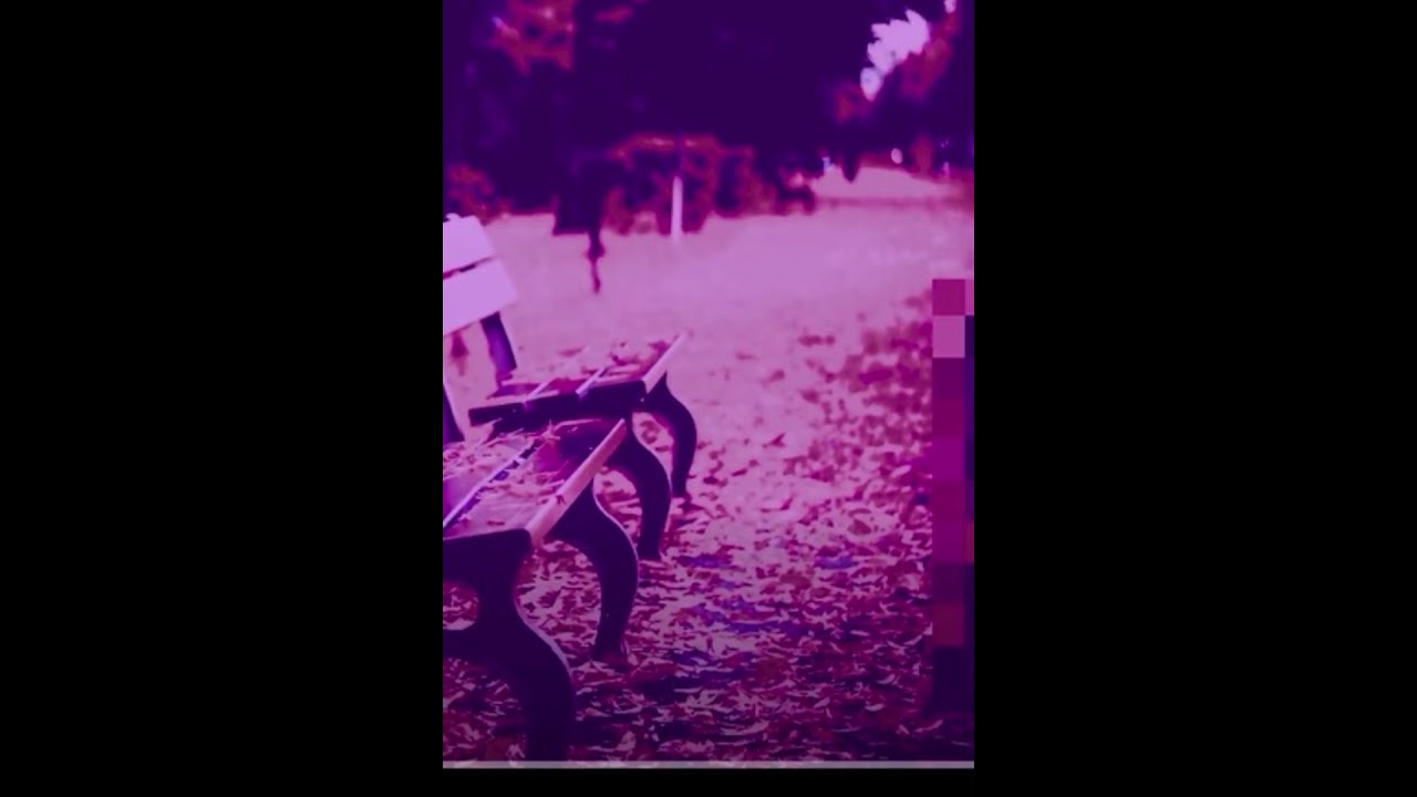 Day-old Bread remix