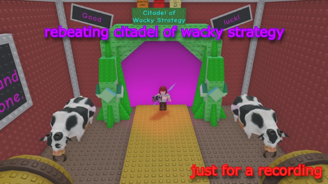 citadel of wacky strategy