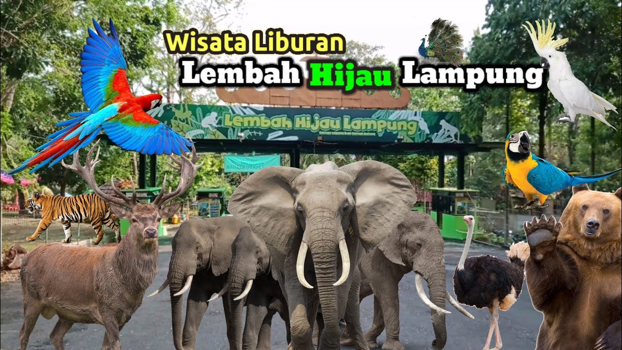 Wisata liburan Lembah Hijau Lampung | wisata Lampung