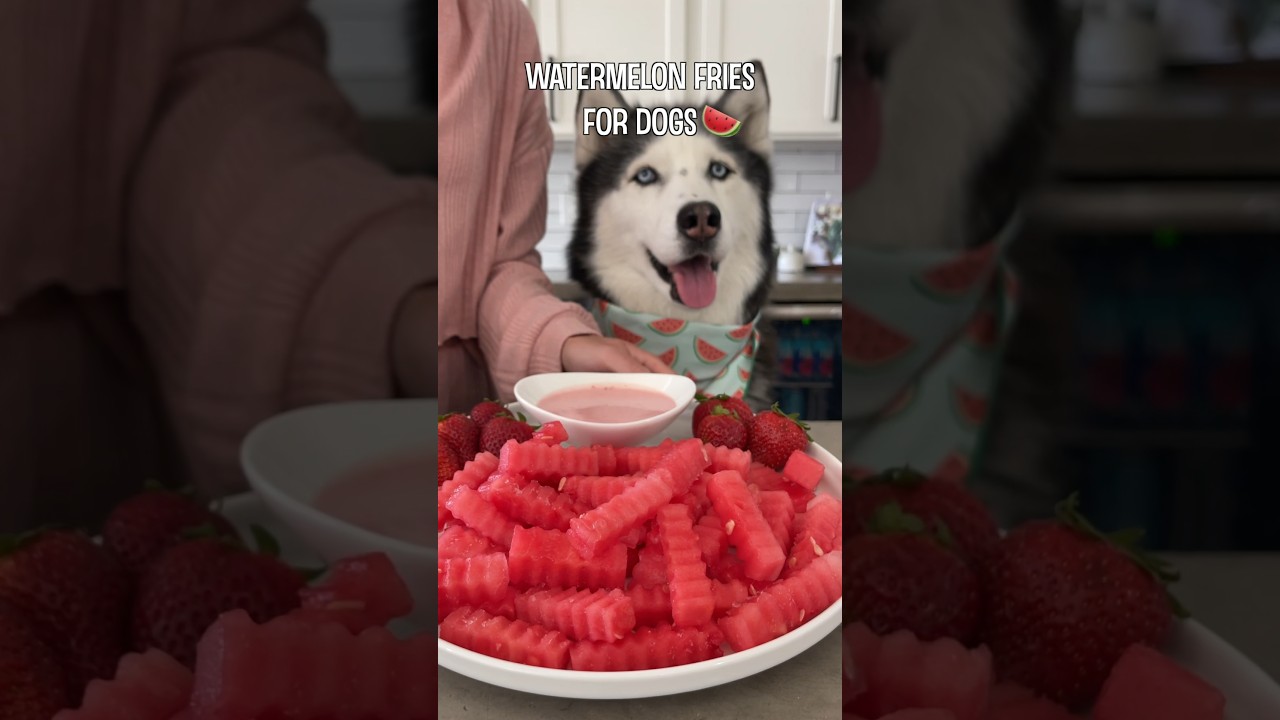 The Perfect Summer Treat For Dogs! #shorts