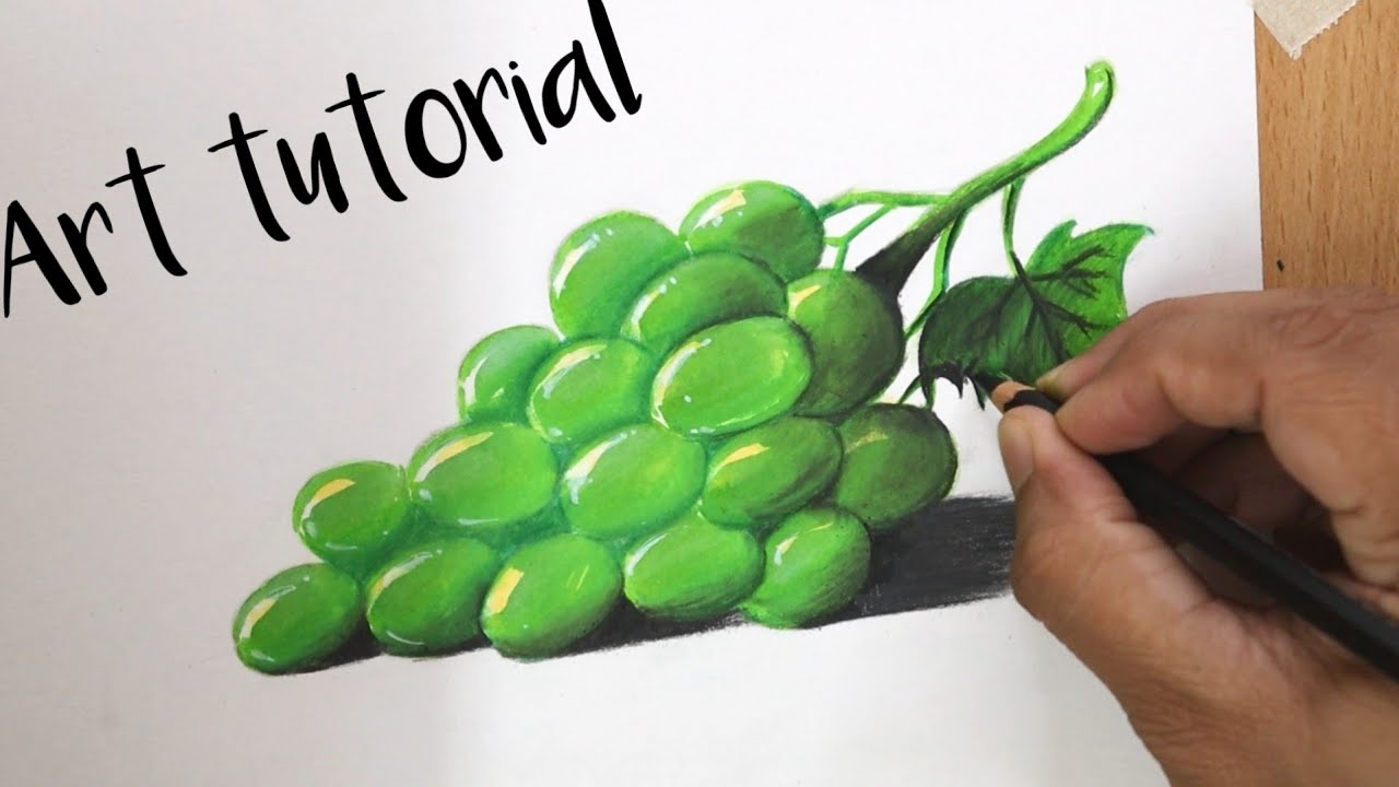 Grapes by brush pen and coloured pencil | A step by step ull art tutorial | Non-timelapse
