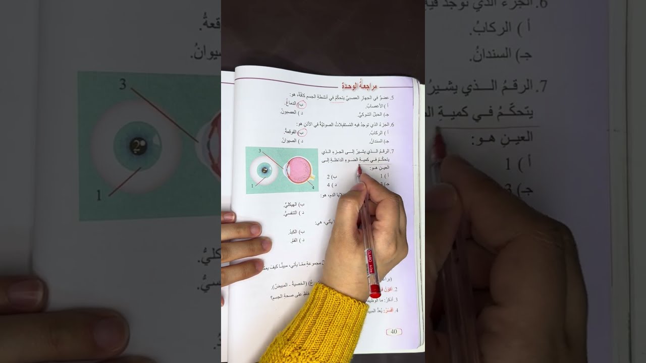 الصف الثامن/علوم/حل مراجعة وحدة جسم الإنسان وصحته #الصف_الثامن #علوم