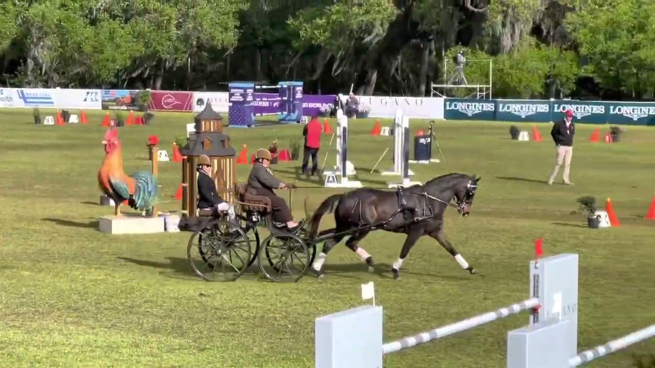 Live Oak International 2023 feat. Janelle Marshall