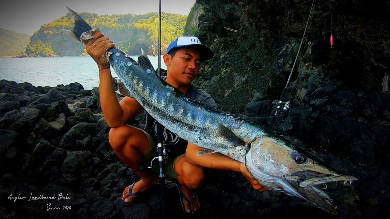 bait lure shimano rockslide 140s 56gr di telan habis babon baracuda || landbased shore jigging