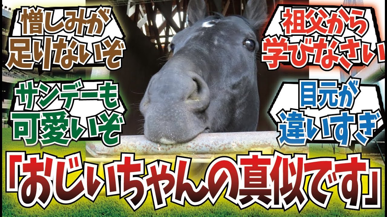 「運命に噛み付いた馬」に対するみんなの反応集