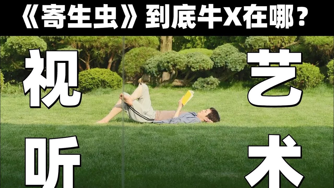 『导演视角』解析高分电影真正看懂《寄生虫》拉片这部奉俊昊联手宋康昊、崔宇植的韩国电影佳作