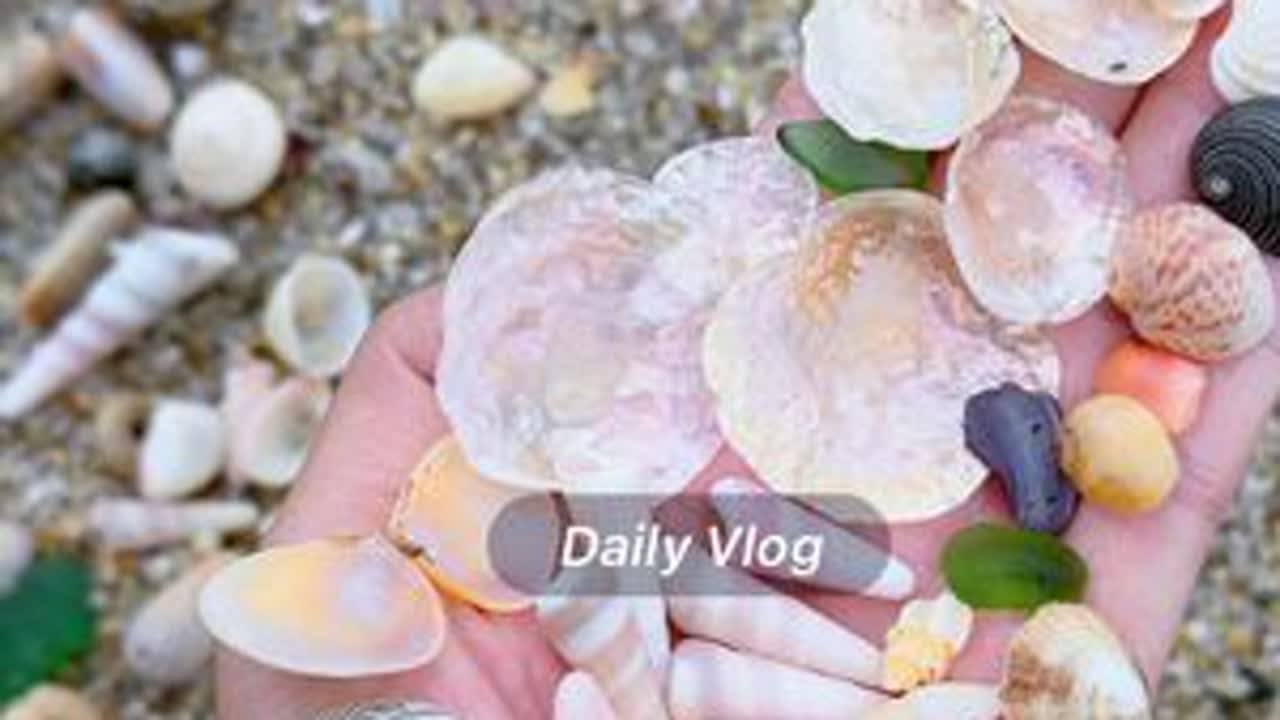 冠岭山庄2号楼幸福湾 北风呼呼的挂，去捡贝壳可要包严实了，今天是粉粉嫩嫩的玉化钉螺屁股和不等蛤