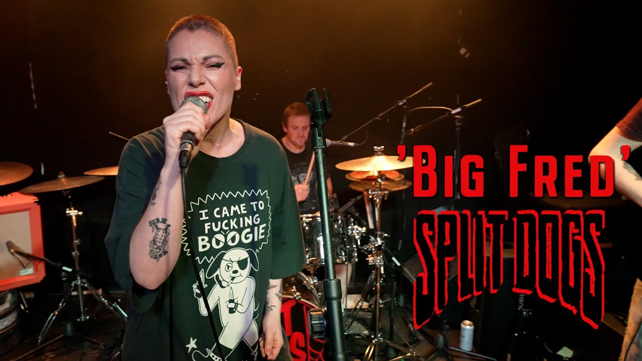'Big Fred' SPLIT DOGS (Crofter's Rights, Bristol) BOPFLIX sessions