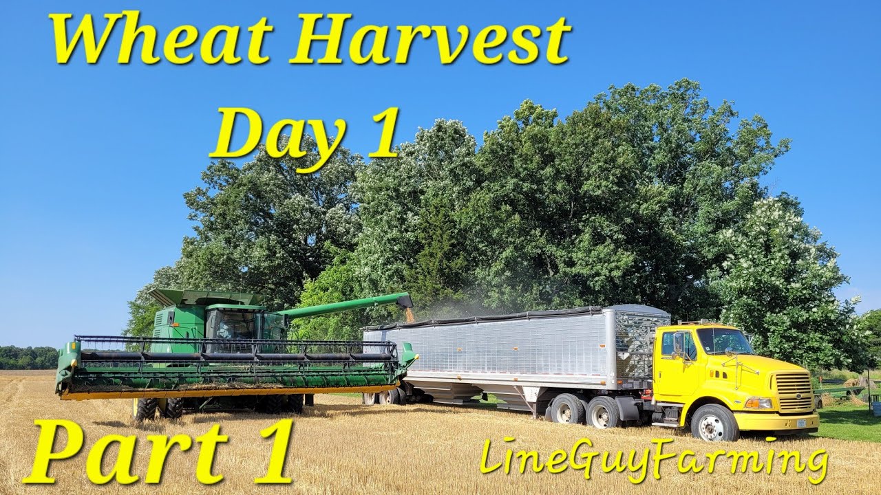 WHEAT HARVEST 2024 IS UNDERWAY!!! #farming #farmer