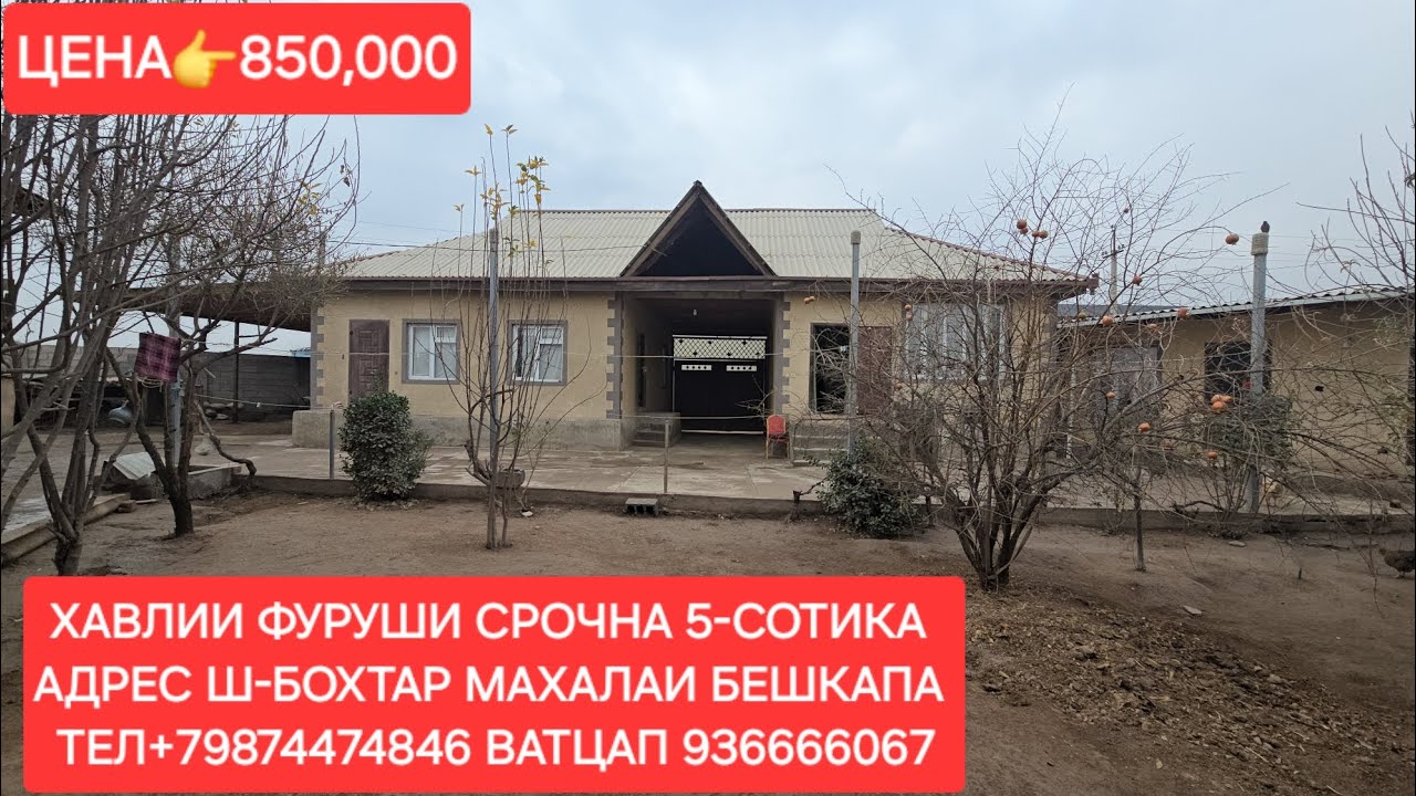 ХАВЛИИ ФУРУШИ СРОЧНА Ш-БОХТАР ЧИСЛОИ 14,12,2025,СОЛ.