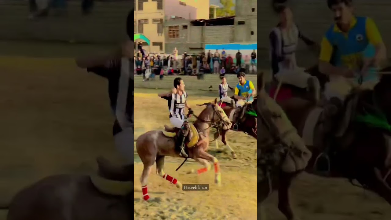 Freestyle polo Gilgit #follow #horse #polopassion #gilgitbaltistan