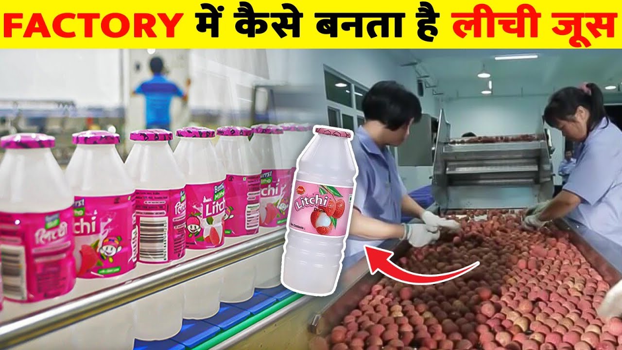 फैक्ट्री में लीची जूस कैसे बनता है | How Litchi Juice Is Made In Factory | Litchi Juice Production