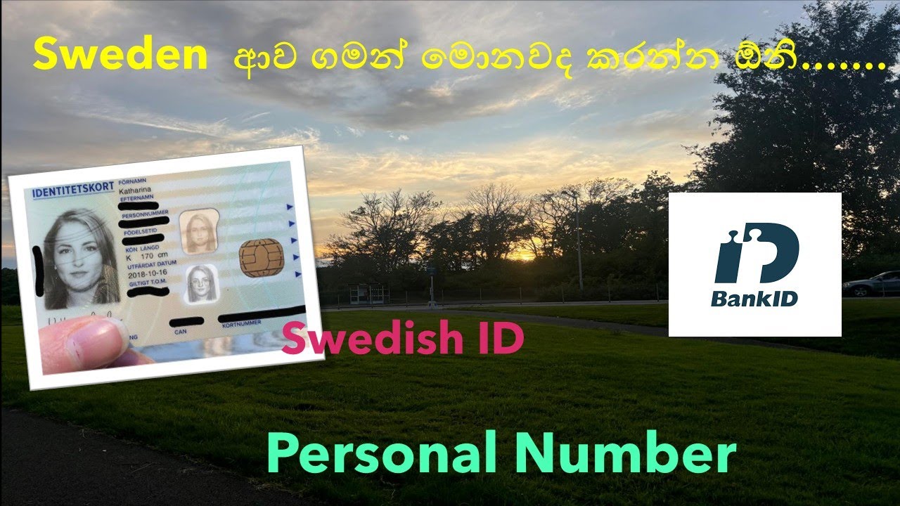 Sweden වලට ආව ගමන් මොනවද කරන්න ඕනි......