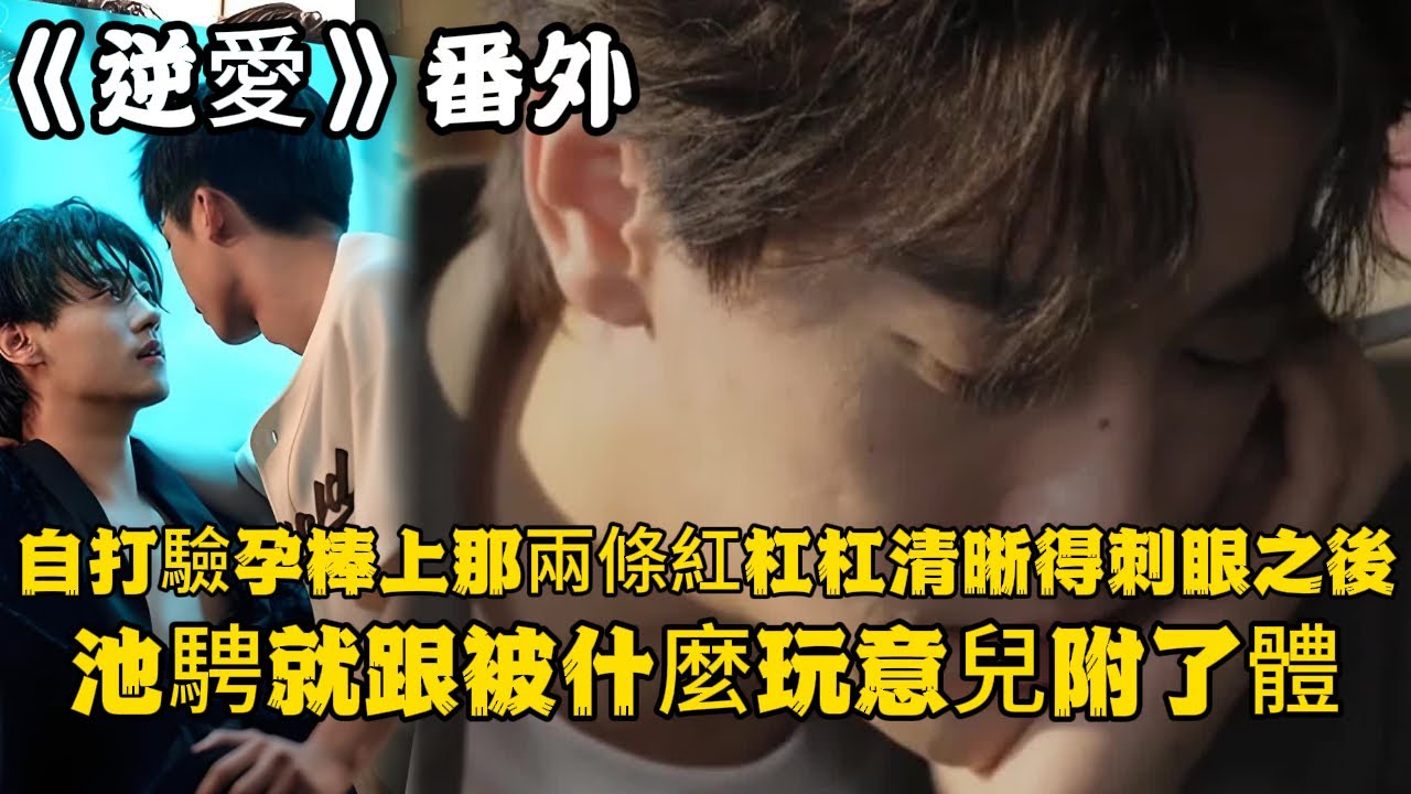 《逆愛》：番外（20）婚後小甜餅，自打驗孕棒上那兩條紅杠杠清晰得刺眼之後，池騁就跟被什麼玩意兒附了體。#田栩宁 #梓渝 #吴所畏 #池骋 #逆爱 #revenged
