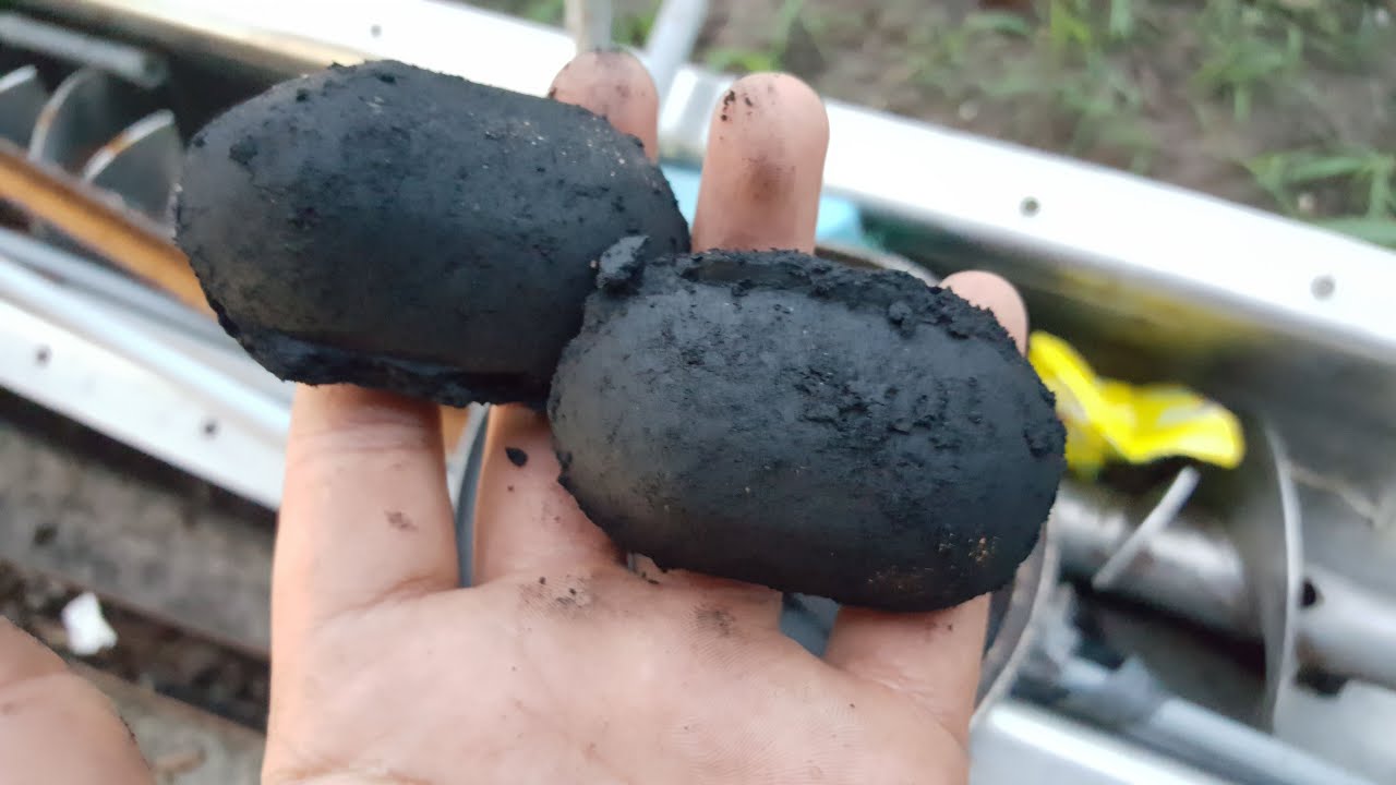 Elaboración del carbón de cáscara de coco