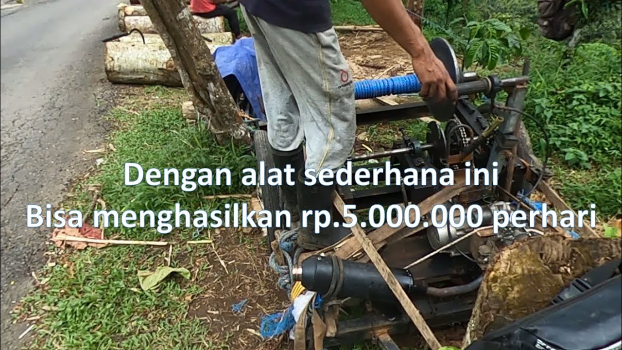 Penarikan Kayu Log