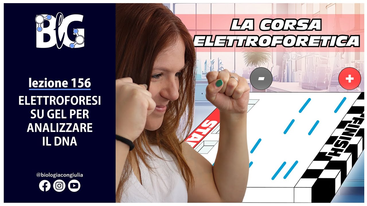 ELETTROFORESI su GEL per ANALIZZARE il DNA