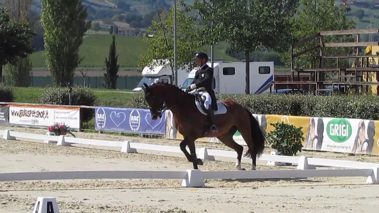 Andrea Giovannini e The Best Campioni nazionali Senior Amatori M300 2017