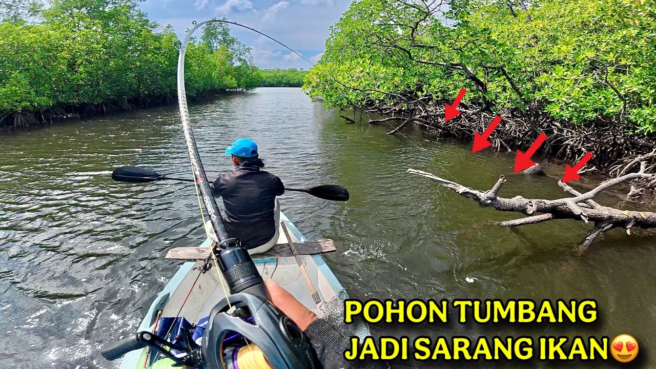 BANYAK IKAN KUMPUL DI SINI .!!! POHON TUMBANG JADI SARANG IKAN , TES REEL DAIDOxDMK CHEETAH