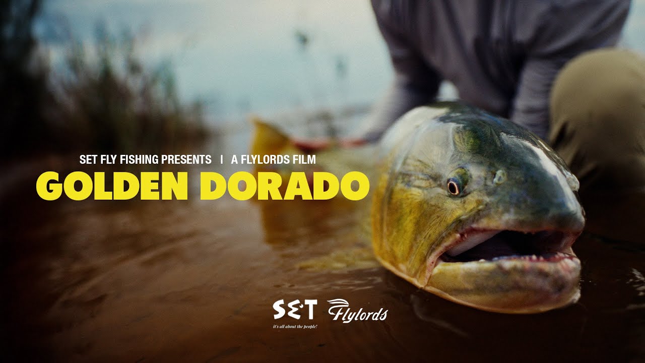 Set Fly Fishing представляет: Golden Dorado — в погоне за аргентинским золотом | Фильм Flylords