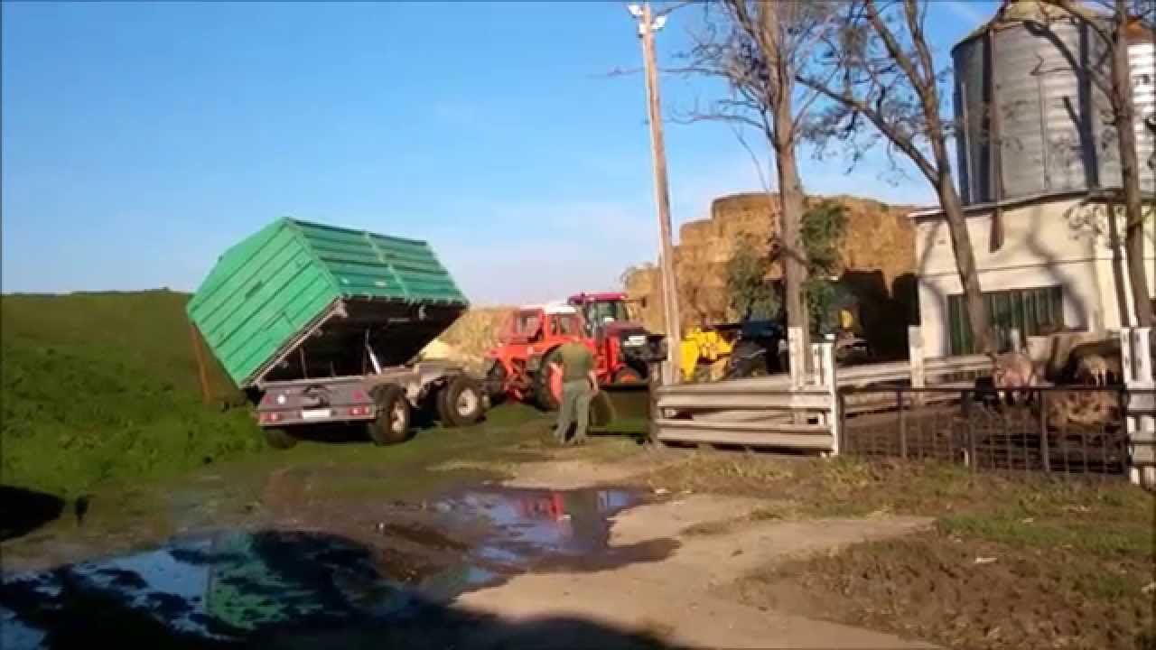 Lucerna szilázs 1. rész [Silage making Part 1.]