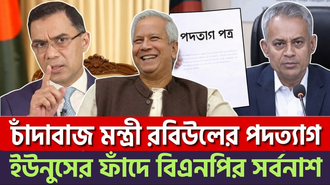 বিএনপির চাঁদাবাজ মন্ত্রী রবিউলের পদত্যাগ!? তারেক রহমানের এক ঘোষণায় তোলপাড়! | Dr. Yonus |Bnp |Jamaat