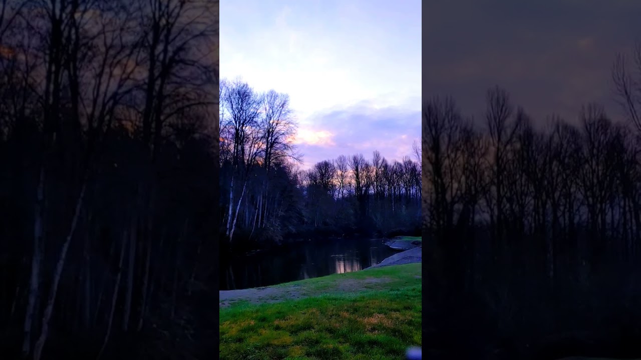 Peaceful Sunrise Over the Green River (Sounds of Nature)