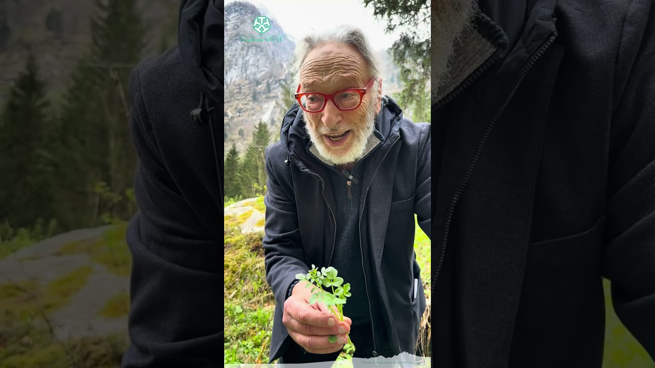 Alla ricerca di erbe