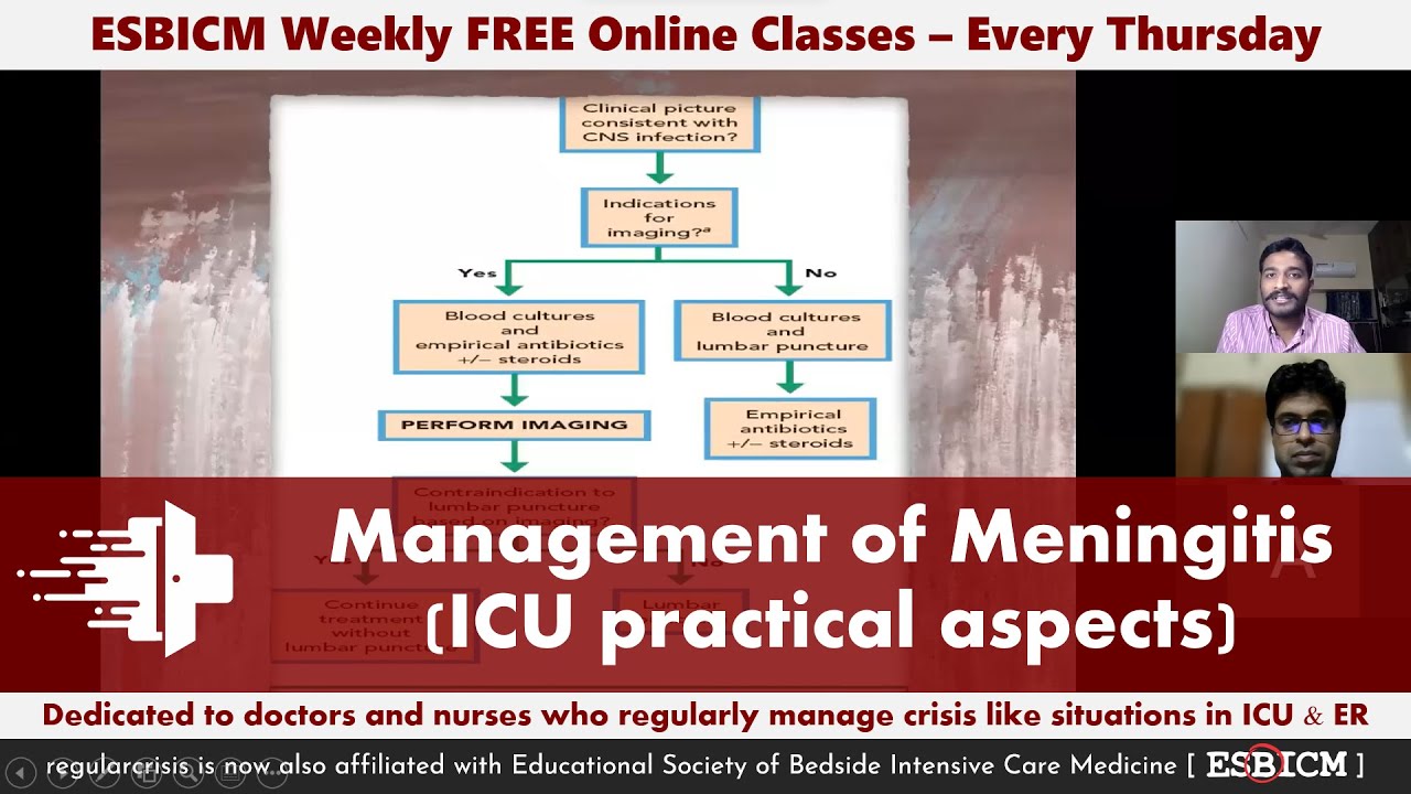 Management of Meningitis in ICU (practical aspects) - Dr. Benjamin | ESBICM Weekly Classes