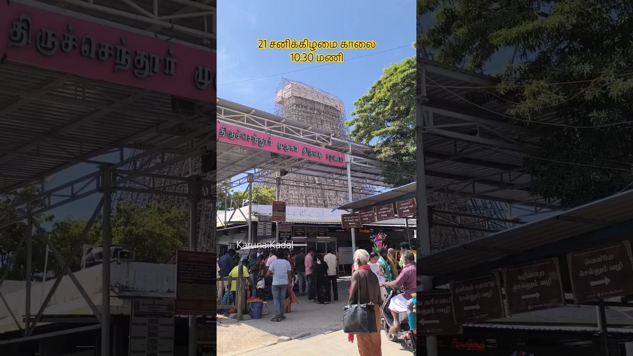 Temple Morning 10am Crowd Update