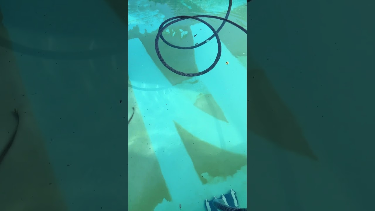 Love A Good Vac To Waste Super Satisfying #poolguy #poolguylife #asmr