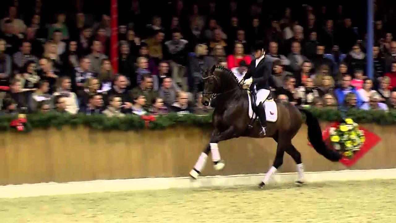 Franziskus *2008 by Fidertanz - Alabaster (Stallion Show Sosath 2013)