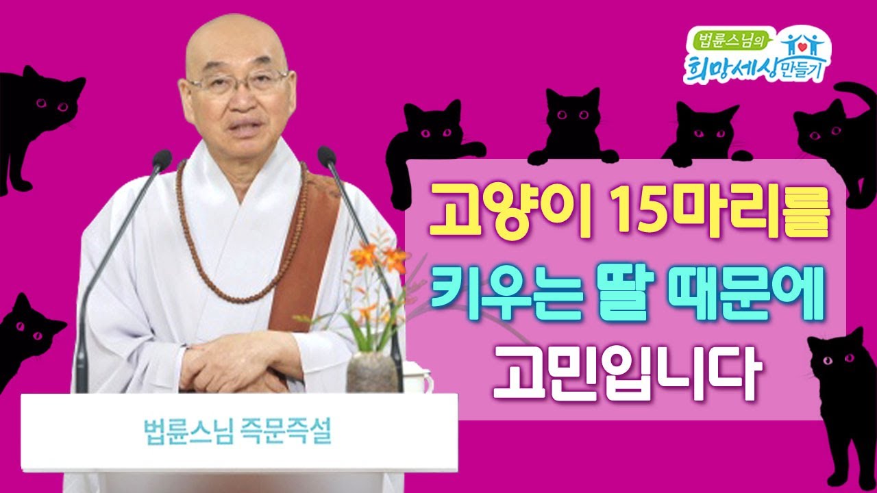 고양이 15마리를 키우는 딸 때문에 고민입니다