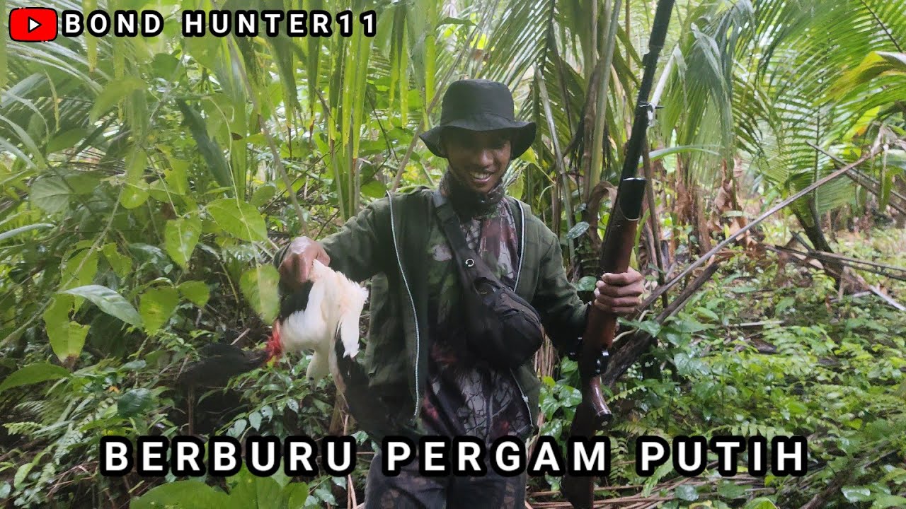 BERBURU PERGAM PUTIH DI PULAU TINGGI‼️PERGAMNYA LUMAYAN BANYAK‼️JOSSS MANTAP