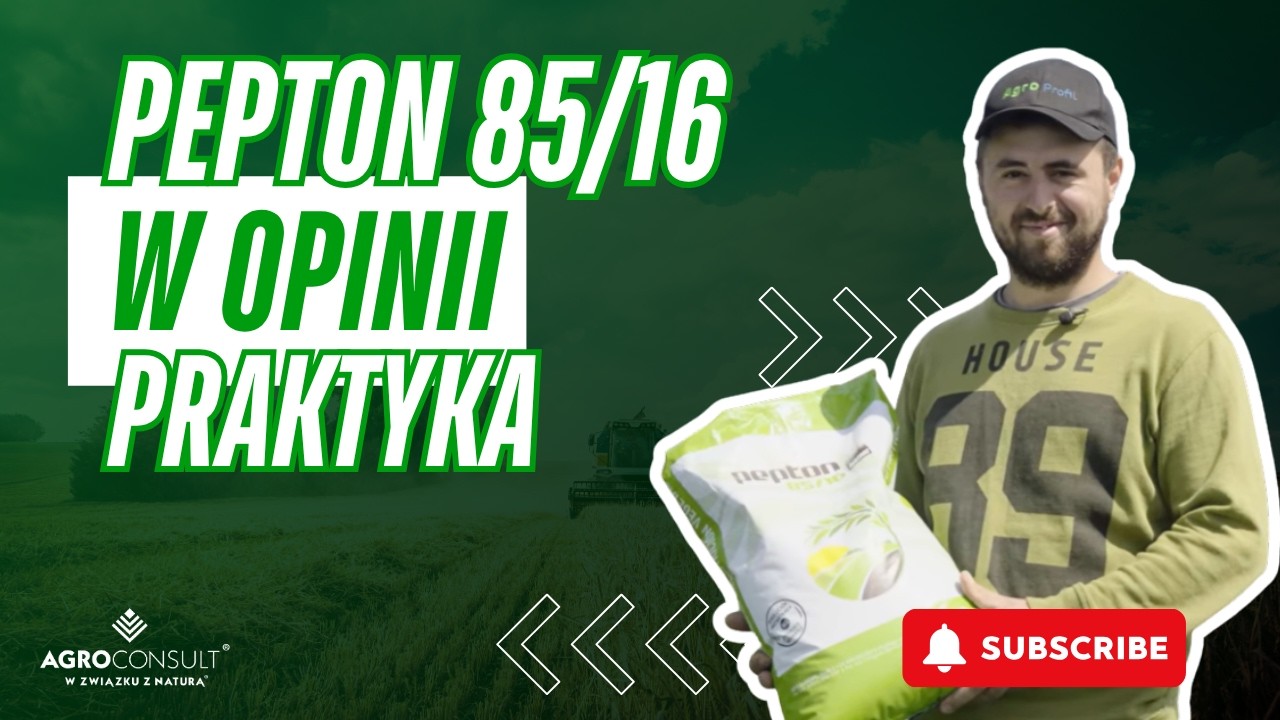 Pepton 85/16 w opinii praktyka.