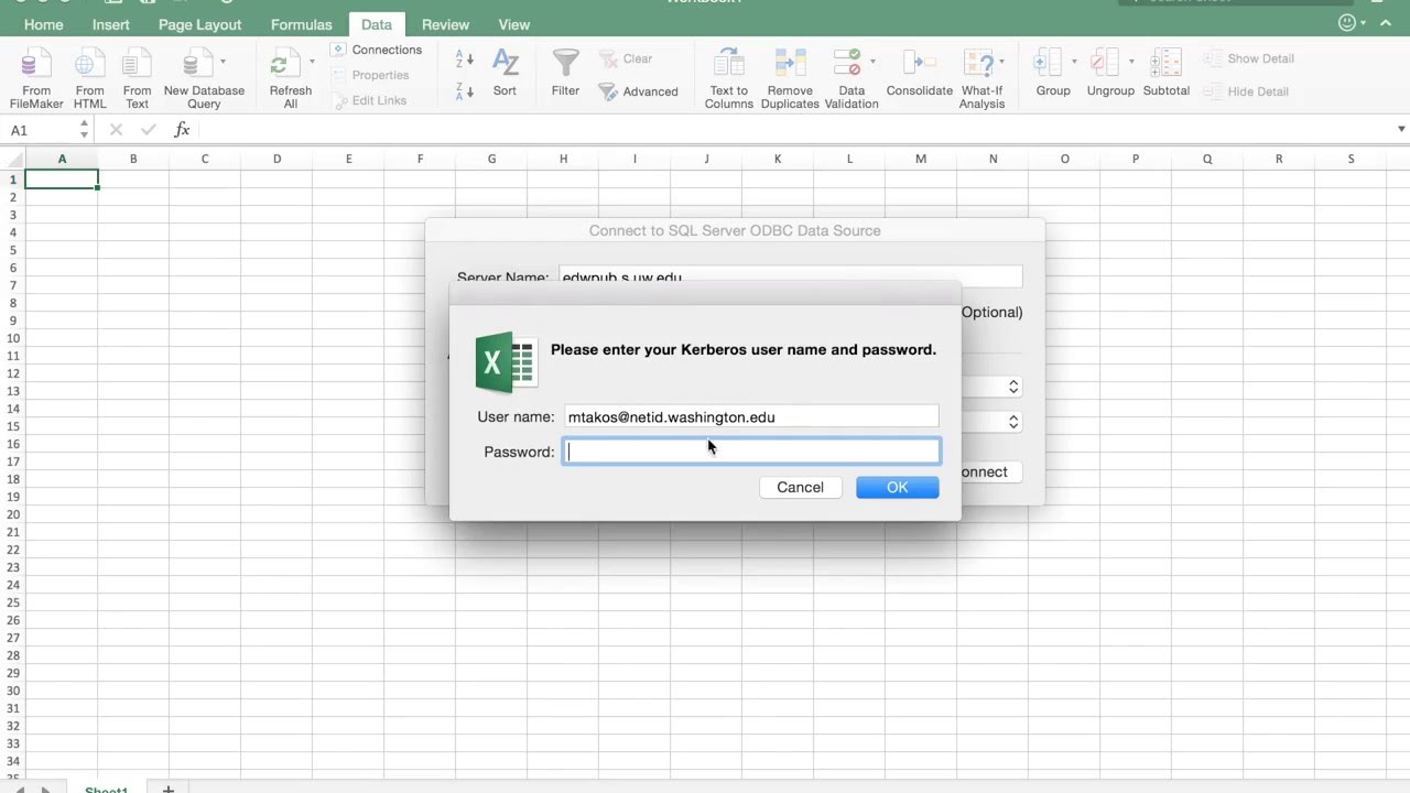 Querying the EDW with Excel 2016 for Mac